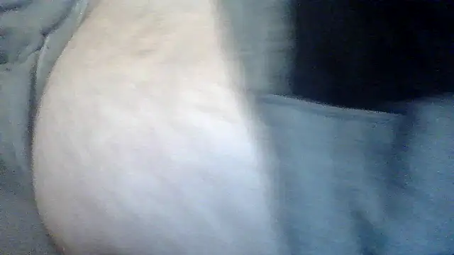 Snapshot of TBFL0204 chatting on 30, 7, 2026 TBFL0204 online show from 30, 7, 2026