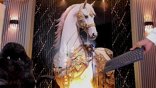 the knights of the night  online show from 25, 5, 2026