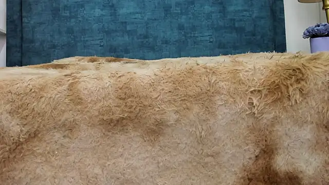 IsadoraVex online show from 14, 4, 2026