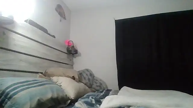 zdaddymm online show from 29, 6, 2026