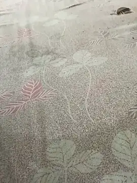 pujaji098 online show from 13, 4, 2026