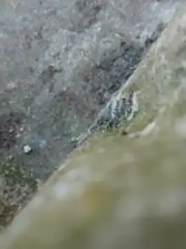 Couple69sexe online show from 22, 4, 2026