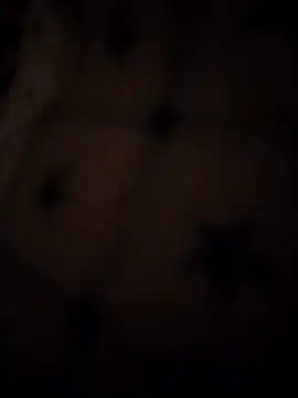  sandy 00 online show from 19, 4, 2026