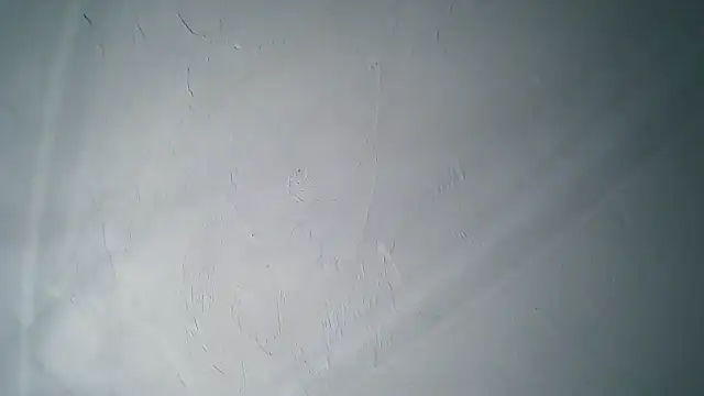 punkwhitebitchboy4rent online show from 19, 4, 2026