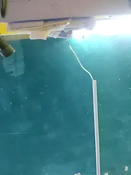 Snapshot of maicol6699 chatting on 15, 4, 2026 maicol6699 online show from 15, 4, 2026