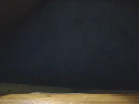 Snapshot of vcf76 chatting on 25, 4, 2026 vcf76 online show from 25, 4, 2026