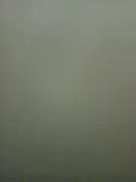 Good Boy-222 online show from 18, 4, 2026