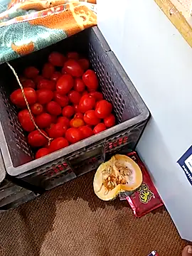 Sanjaykumarsaini online show from 26, 4, 2026