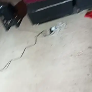  - - putinha -  online show from 24, 4, 2026