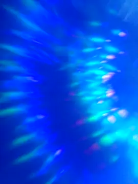 world6kingsss online show from 23, 4, 2026