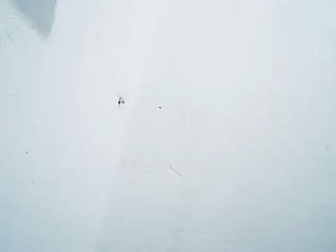 Magrinho2026 online show from 5, 6, 2026