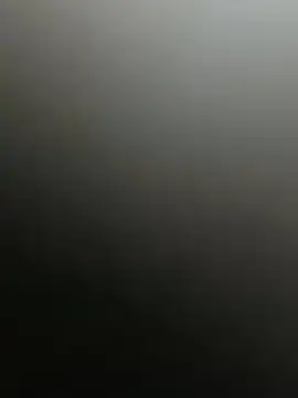 Misteriousecat online show from 3, 5, 2026