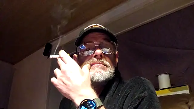 Stillefugl online show from 11, 5, 2026
