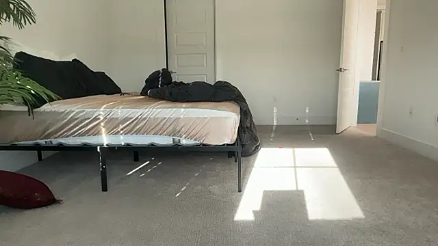 alyssastoneee online show from 2, 6, 2026