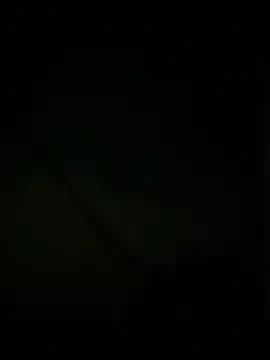 Snapshot of slutytransgal chatting on 6, 5, 2026 slutytransgal online show from 6, 5, 2026