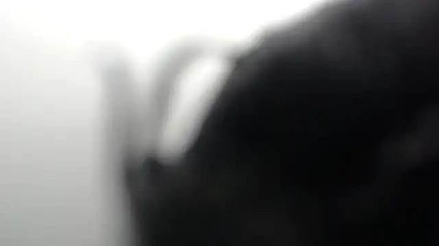 Snapshot of SCARLET_ROUSE_M chatting on 27, 5, 2026 SCARLET ROUSE M online show from 27, 5, 2026