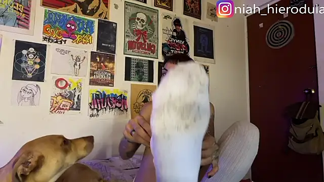 niah 11 online show from 15, 7, 2026
