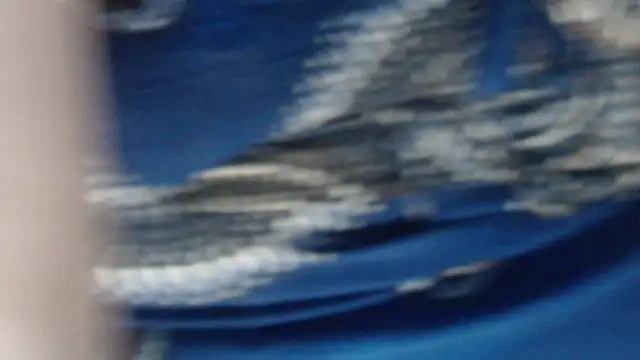 MaevenNectar online show from 20, 5, 2026