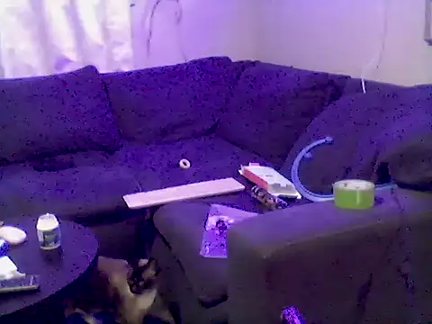 Pbluntz90 online show from 23, 7, 2026