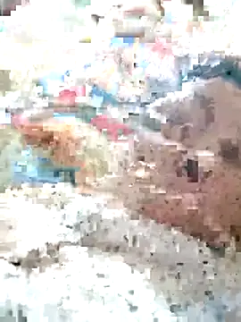 Orio-baby online show from 31, 5, 2026
