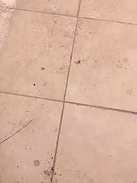kostaspowder online show from 3, 8, 2026