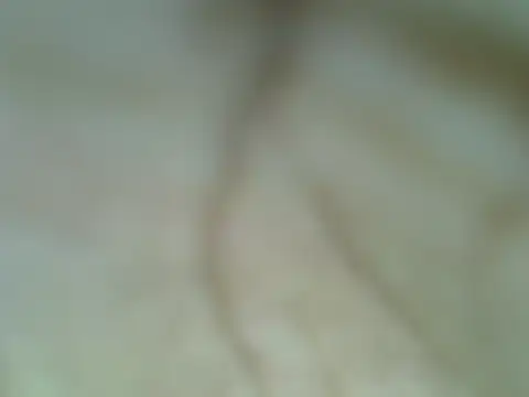 Snapshot of Night_nurse_1 chatting on 13, 7, 2026 Night nurse 1 online show from 13, 7, 2026