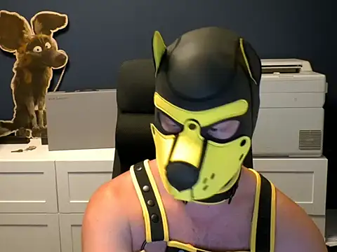WildyLynx online show from 4, 7, 2026