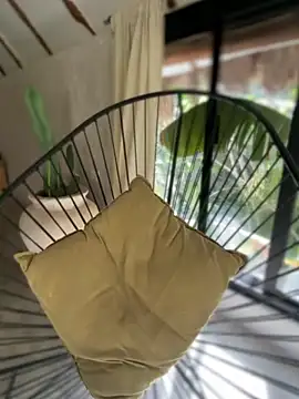 Blaackcat online show from 25, 11, 2025