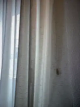 Chic desire online show from 20, 3, 2026