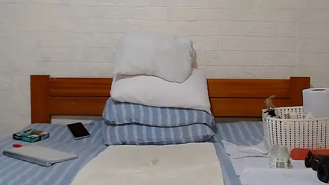 awild kitten online show from 15, 12, 2024