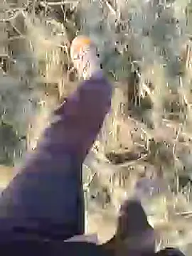 ThethunderPo online show from 19, 12, 2024