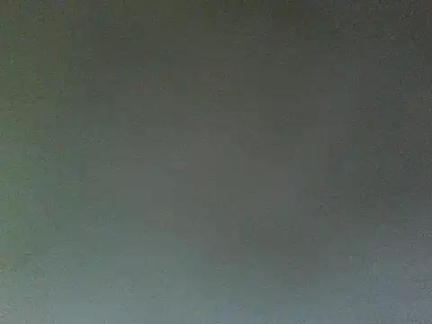 Snapshot of lonelycock33 chatting on 10, 6, 2026 lonelycock33 online show from 10, 6, 2026