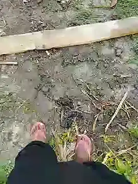 bigh96dik online show from 14, 1, 2025