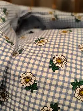 geilerboy2628 online show from 13, 3, 2026