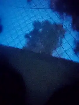 wolf113r online show from 20, 4, 2026