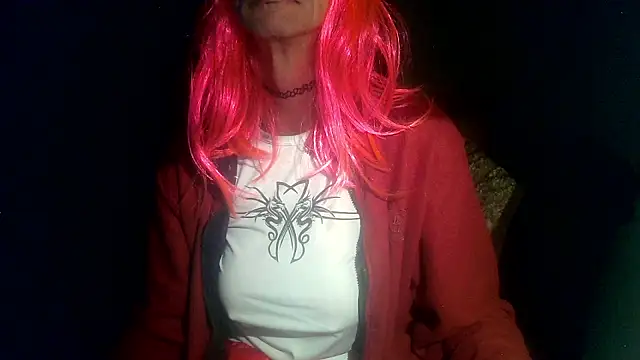 Python43 online show from 25, 1, 2025