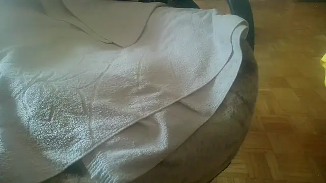 Python43 online show from 20, 2, 2025