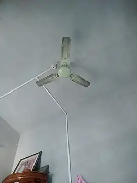 Dogol1990 online show from 1, 10, 2025