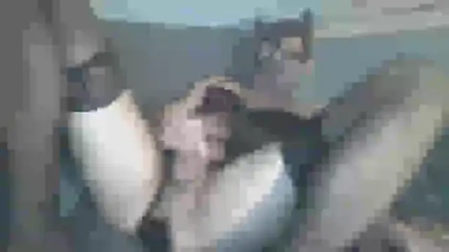 chceciedalsiebie online show from 3, 2, 2026