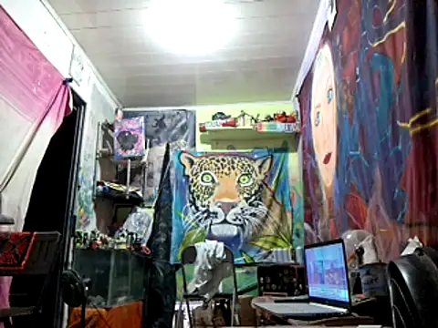 Toycockhot online show from 6, 3, 2025