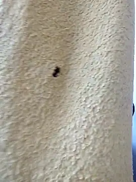 david geam online show from 20, 3, 2026