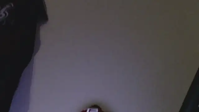 florida0217 online show from 7, 1, 2025