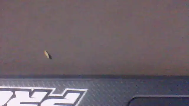 Bwc4u2Ride online show from 18, 3, 2026