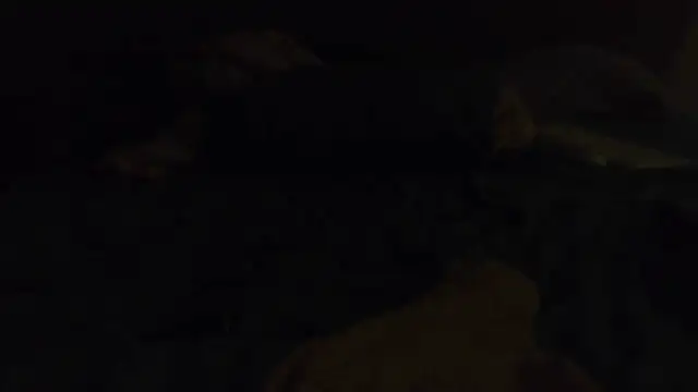 Snapshot of k-dong chatting on 26, 4, 2026 k-dong online show from 26, 4, 2026