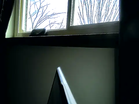 longdick4you8686 online show from 12, 2, 2025