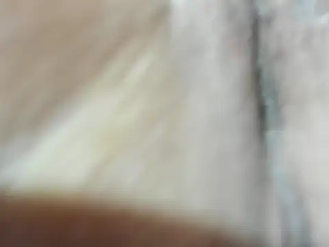 foxy-porn1 online show from 8, 3, 2026