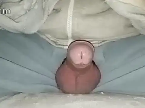 Bigdick666cm online show from 31, 1, 2025