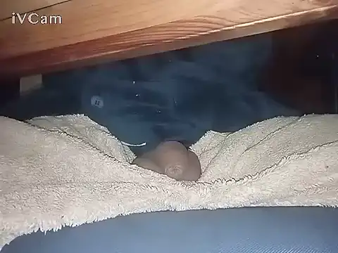 Bigdick666cm online show from 6, 3, 2025