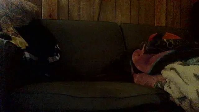 Ryoko Momoko online show from 1, 11, 2025