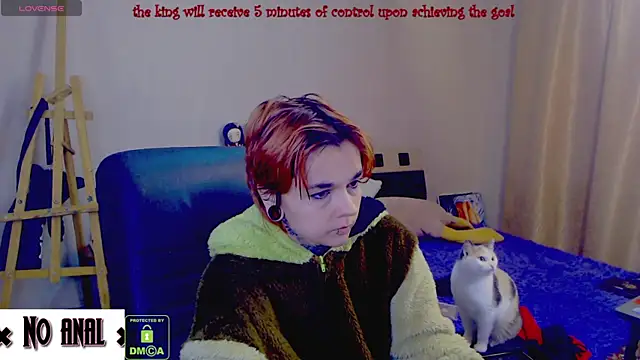 Dark  Elf online show from 11, 4, 2026